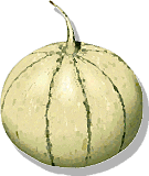 melon