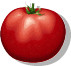 tomate